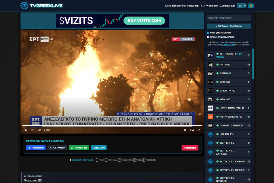 Custom IPTV Web App Desktop Preview
