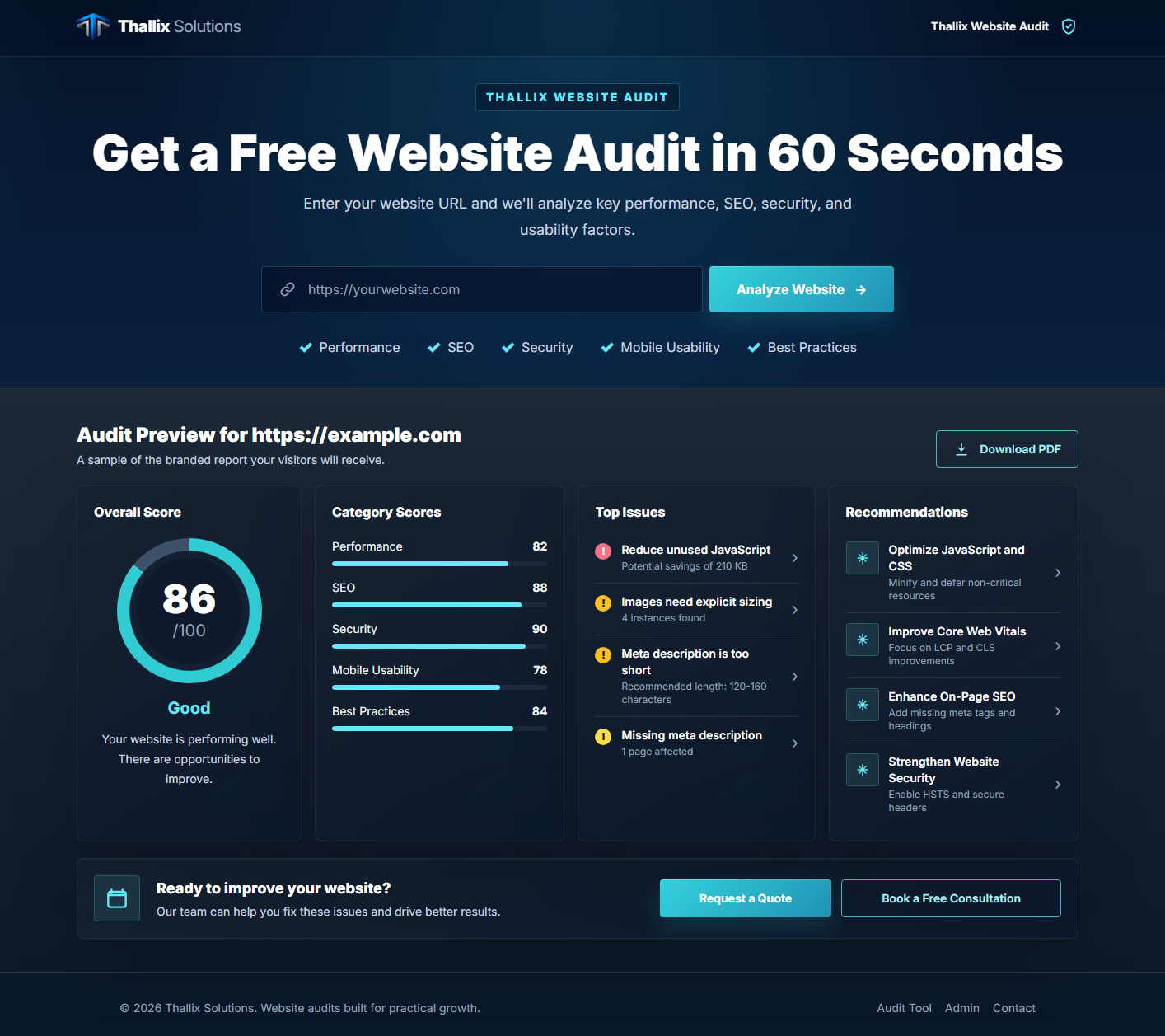 Preview of the Thallix website audit report